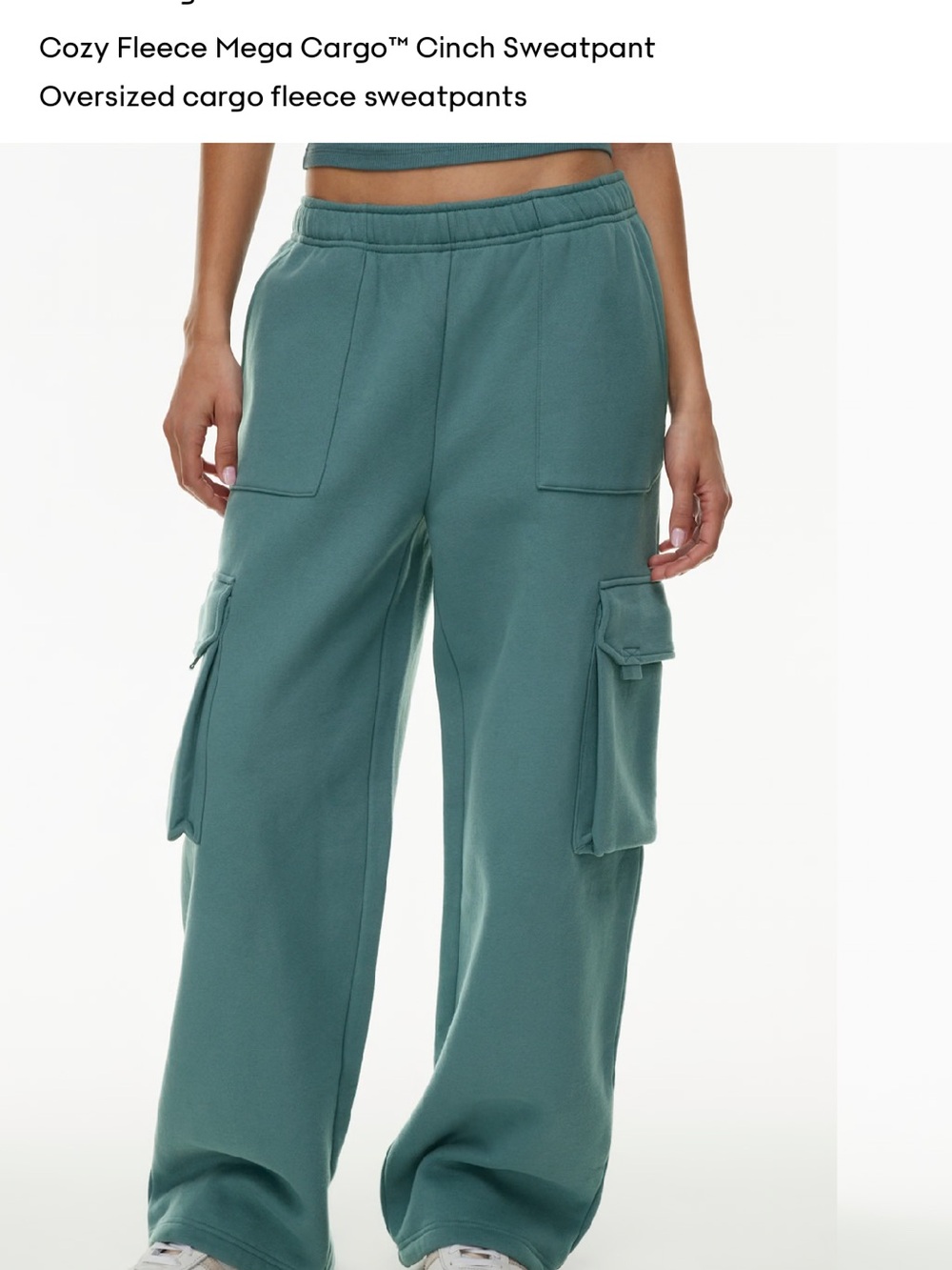 ARITZIA Mega Cargo Cinch Sweatfleece pant — Tidal Blue